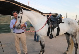 Leilão Marchador da Serra está com tropa pronta