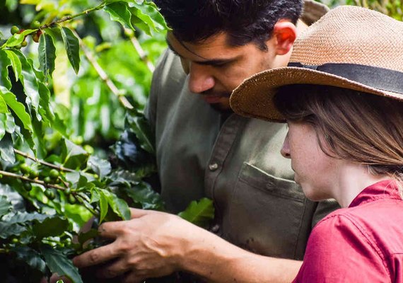 A força das cooperativas no agronegócio brasileiro e seus desafios