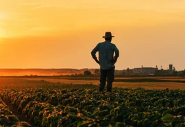 Cooperativas agro ampliam investimentos em 2026