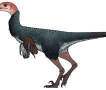 Nova espécie de dinossauro emplumado com crânio espesso é descoberta no México