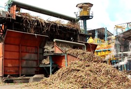 Usinas contabilizam mais de 9,5 milhões de toneladas de cana processadas em Alagoas