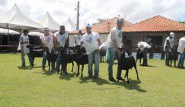 8ª Expoalagoas Genética terá programação recheada