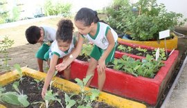 Horta escolar muda hábito alimentar de alunos da rede pública