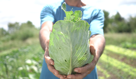 Agricultores familiares em Arapiraca zeram uso de herbicidas com apoio da Agreste Saneamento