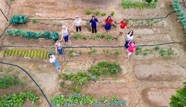 Hortas Urbanas unem a alimentação saudável ao combate à fome em Alagoas