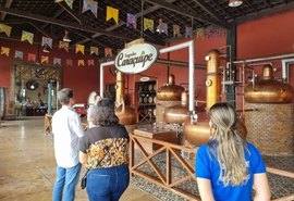 Rota da Cachaça movimenta Agreste alagoano; veja a programação