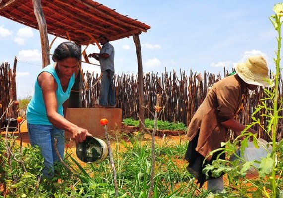 Banco do Nordeste injetou R$ 2,2 bilhões na economia de AL