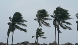 Fortes ventos de até 60km/h chegam ao litoral alagoano