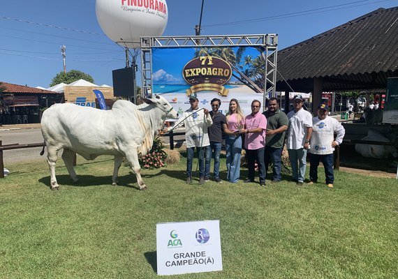 Criadores de AL e RN ganham grande campeonato de nelore na 71ª Expoagro