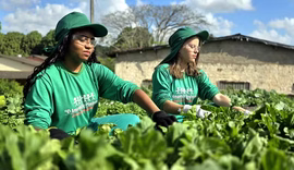 Cooperativas alagoanas movimentam R$ 2,74 bilhões em receitas