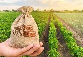 Presidente da Aprosoja Brasil diz que acesso ao crédito rural precisa de inovação