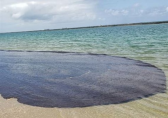 Chega a 1.500 toneladas o total de óleo recolhido em praias e rios de PE