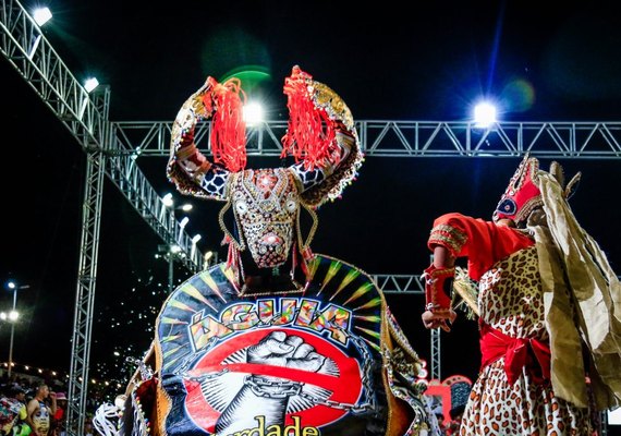 Vingador e Cobra Criada vencem Festival de Bumba Meu Boi