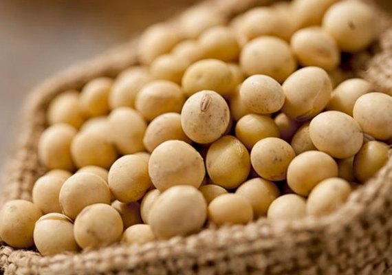 Soja tem menor volume de exportação no Brasil