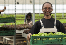Lei institui política de empreendedorismo para jovens no campo
