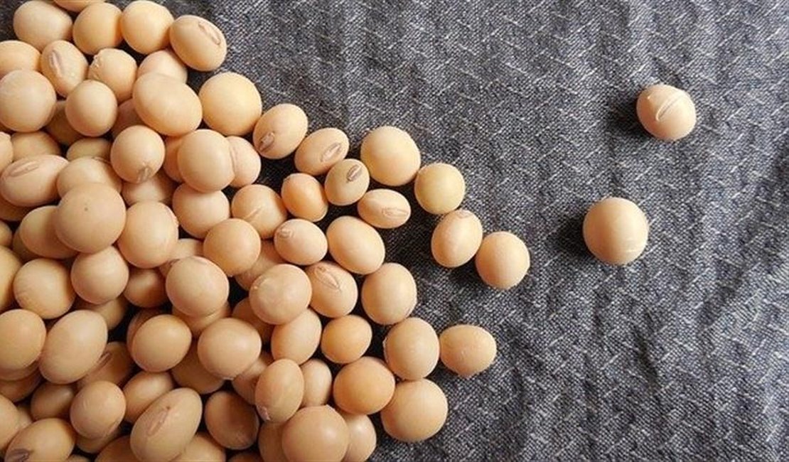 Demanda por biodiesel eleva preço do óleo de soja