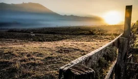 Cidades do Sul registram temperaturas negativas neste domingo