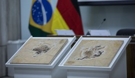 Dinossauros brasileiros retirados ilegalmente podem voltar ao país