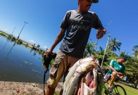 IMA proíbe consumo de peixes encontrados mortos à margem da Lagoa da Anta