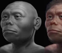 Pesquisa indica que 'hobbits' humanos viviam de carcaças na Indonésia