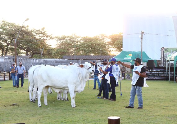70º Expoagro/AL já é sucesso no agro brasileiro em 2020