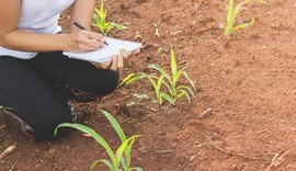 Pindorama será uma das unidades do programa AgroResidência
