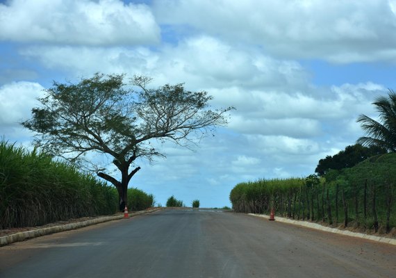 Programa Alagoas de Ponta a Ponta segue em Junqueiro com pavimentação asfáltica