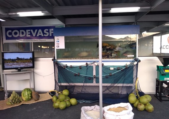 Ações para  Alagoas são apresentadas pela Codevasf na Expoagro