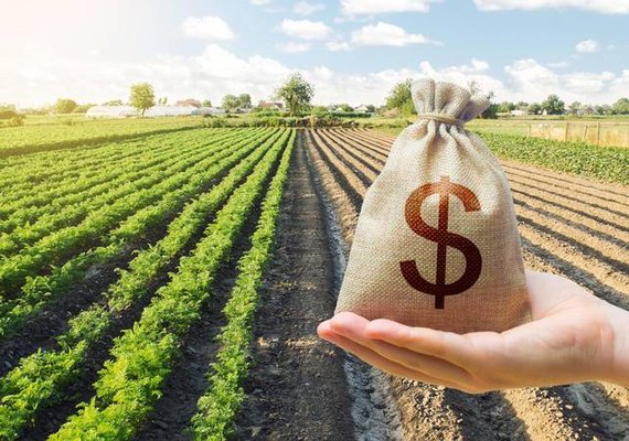 BNB orienta agricultores sobre renegociação de dívidas em Alagoas