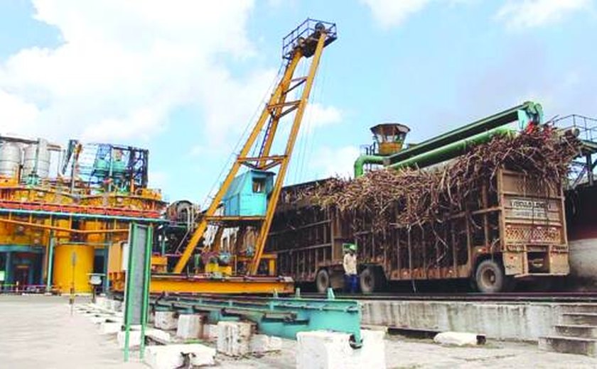 Moagem 21/22 entra na reta final com crescimento de safra