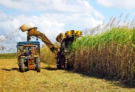 ATR final de safra tem variação discreta em agosto