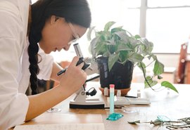 Governo de Alagoas investe R$ 6 milhões em iniciação científica ee empreendedorismo no Ensino Médio