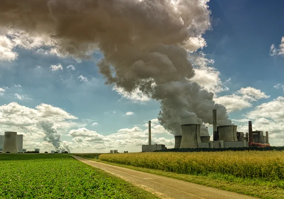 Cooperativa cafeeira reduz 10,4% das emissões diretas e tem inventário de carbono verificado