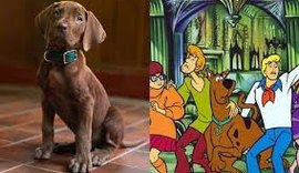 Netflix divulga primeira versão realista de Scooby-Doo em série live-action