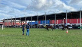 Expoalagoas Genética será palco para o 5º Campeonato Nordestino do Mangalarga Marchador