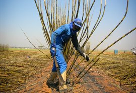 MPT promove audiência pública para discutir NR 31