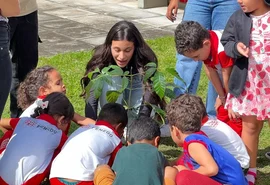 Penedo amplia áreas verdes com plantio de mais de 125 mil mudas