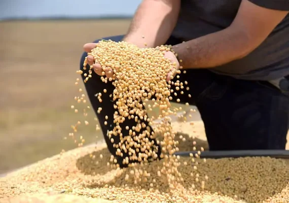 Tarifa dos EUA pode atingir 36,5% das exportações do agro brasileiro