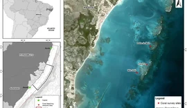 Pesquisa constata alta mortalidade de corais em AL devido ao aquecimento global