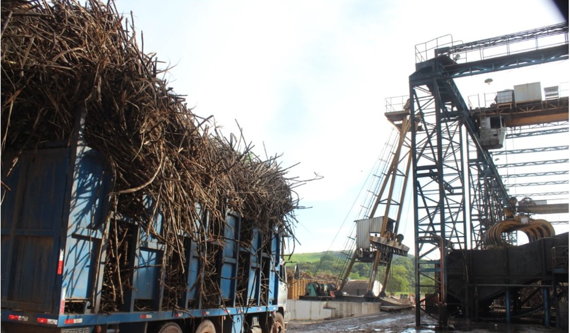 Isolamento social preocupa produtores do setor sucroenergético