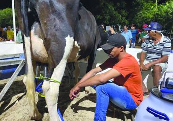 Torneio Leiteiro da agricultura familiar será atração na Expo Bacia Leiteira, em Batalha