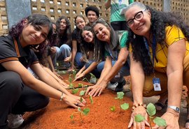 Escola estadual ganha horta hurbana do programa Alagoas Sem Fome