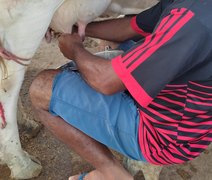 Contratações da agricultura familiar crescem 12,4% em 2025 e somam R$ 10,7 bi