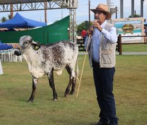 Girolando é a raça bovina com maior participação na pista da 72ª Expoagro Alagoas