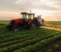 Agroindústria fecha 2025 com retração de 0,1%