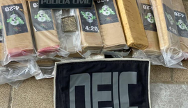 Polícia apreende 25 kg de maconha escondida em encomenda de material para piscina