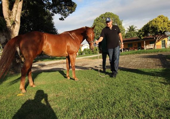 Tropa do 4º Leilão Vale Rico pode ser conferida na web