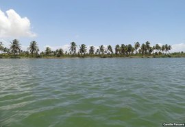 Ibama solicita embarcação à Marinha para vistoriar margens Rio São Francisco