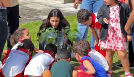 Penedo amplia áreas verdes com plantio de mais de 125 mil mudas
