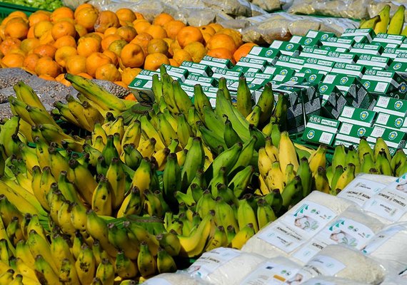 Lei amplia garantias para financiamentos do Pronaf